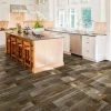 Congoleum ArmorCore Pro UR Farmhouse Timber 12-ft W Cut-to-Length Steel Wool Wood Look Low-Gloss Finish Sheet Vinyl 1 Congoleum ArmorCore Pro UR Farmhouse Timber 12-ft W Cut-to-Length Steel Wool Wood Look Low-Gloss Finish Sheet Vinyl -Flooring Specialty Store 020275376884 15308671 1800x1800