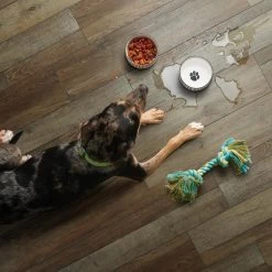 SMARTCORE Pro 7-Piece 7.08-in X 48.03-in Claremount Oak Luxury Vinyl Plank Flooring -Flooring Specialty Store 190402110268 12035968 1800x1800