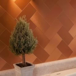 Acp A53 Aspect -Flooring Specialty Store 26852555 136d 40d0 b4cf 24e668749d53.cd85dcf910e245d140bff04197dbc62b 1800x1800