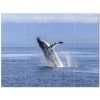 Whale Ceramic Tile Mural Kitchen Backsplash Bathroom Shower 403086-S43 1 Whale Ceramic Tile Mural Kitchen Backsplash Bathroom Shower 403086-S43 -Flooring Specialty Store 363df1ca 2eb9 4cdb 9ab9 567d7a777be7 1.bb7b5afcb4d4871e1dd9253f658c86ed 1800x1800