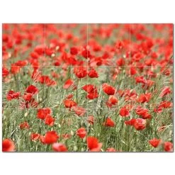 Flowers Ceramic Tile Mural Kitchen Backsplash Bathroom Shower 402538-S43