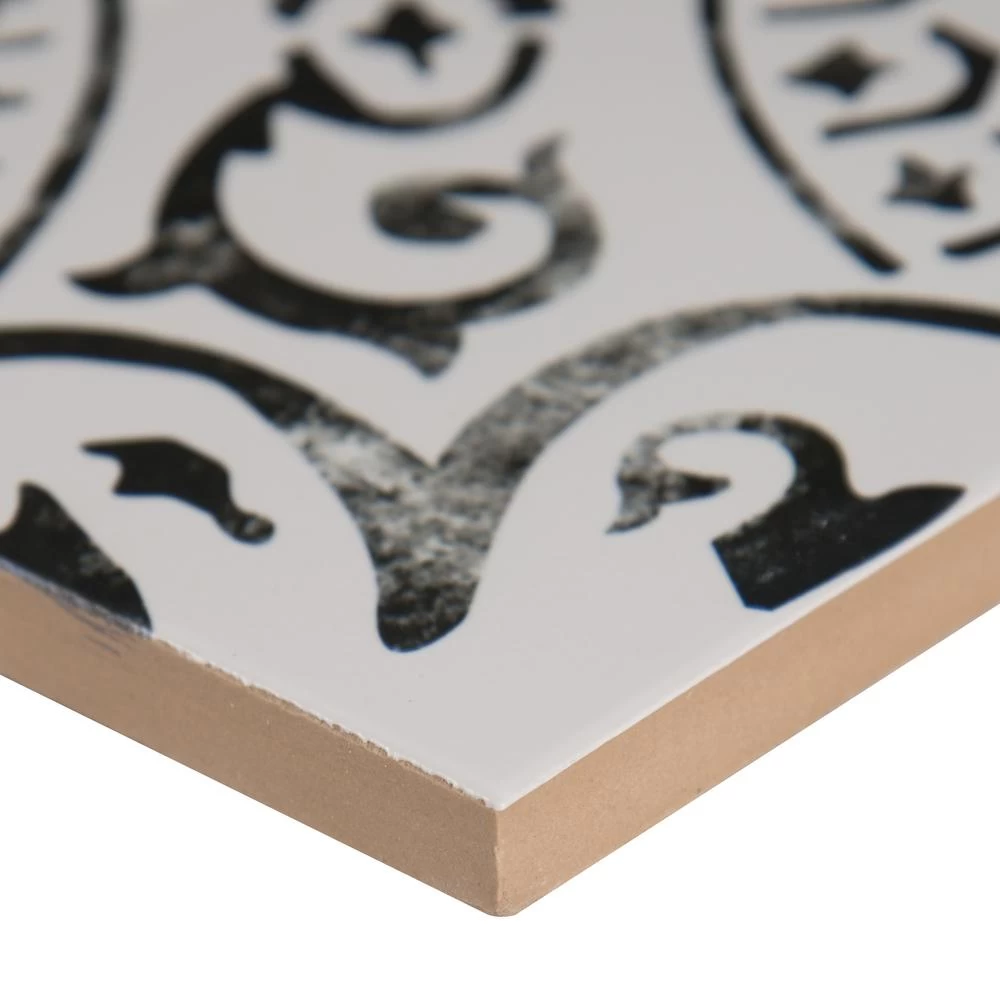 MSI Paloma Encaustic 8 In. X 8 In. Matte Porcelain Floor And Wall Tile (5.33 Sq. Ft. /case) 6 MSI Paloma Encaustic 8 In. X 8 In. Matte Porcelain Floor And Wall Tile (5.33 Sq. Ft. /case) - Image 4